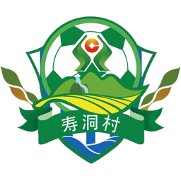 寿洞村队徽